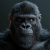 Avatar for habonimana from gravatar.com