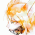 Avatar for qqpann from gravatar.com