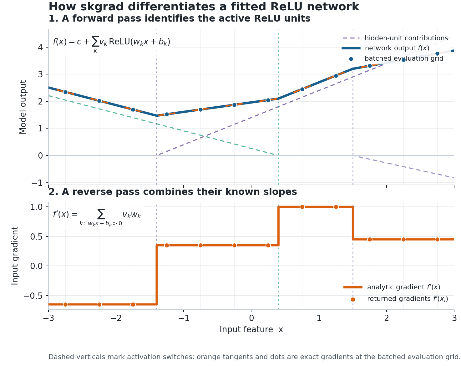 A one-dimensional fitted ReLU network and its exact input gradients