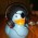 Avatar for DarwinsBuddy from gravatar.com