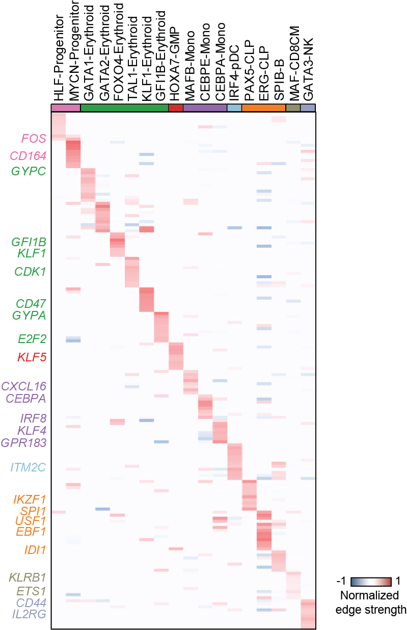 https://raw.githubusercontent.com/pinellolab/dictys/master/doc/images/Global_heatmap.png