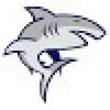 Avatar for sspart from gravatar.com