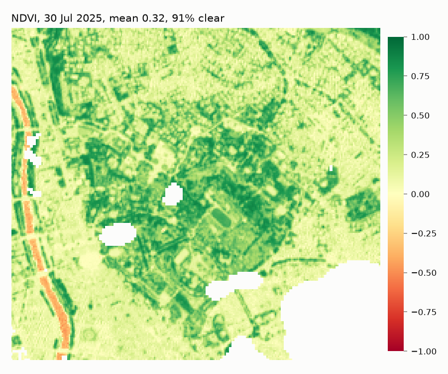 NDVI map of Villa Borghese, Rome, 30 July 2025