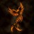 Avatar for mehdashti from gravatar.com