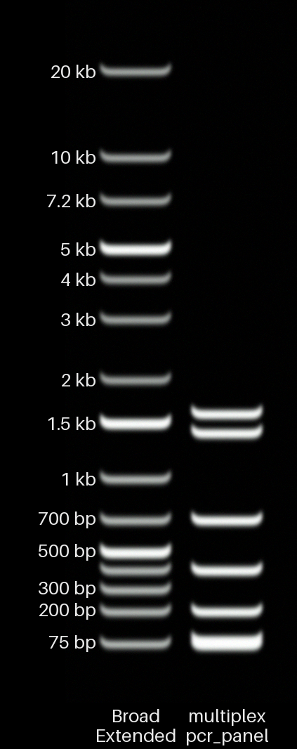 Multiplex panel at 0.5%