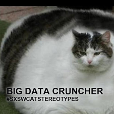 Avatar for Ryan Yu from gravatar.com