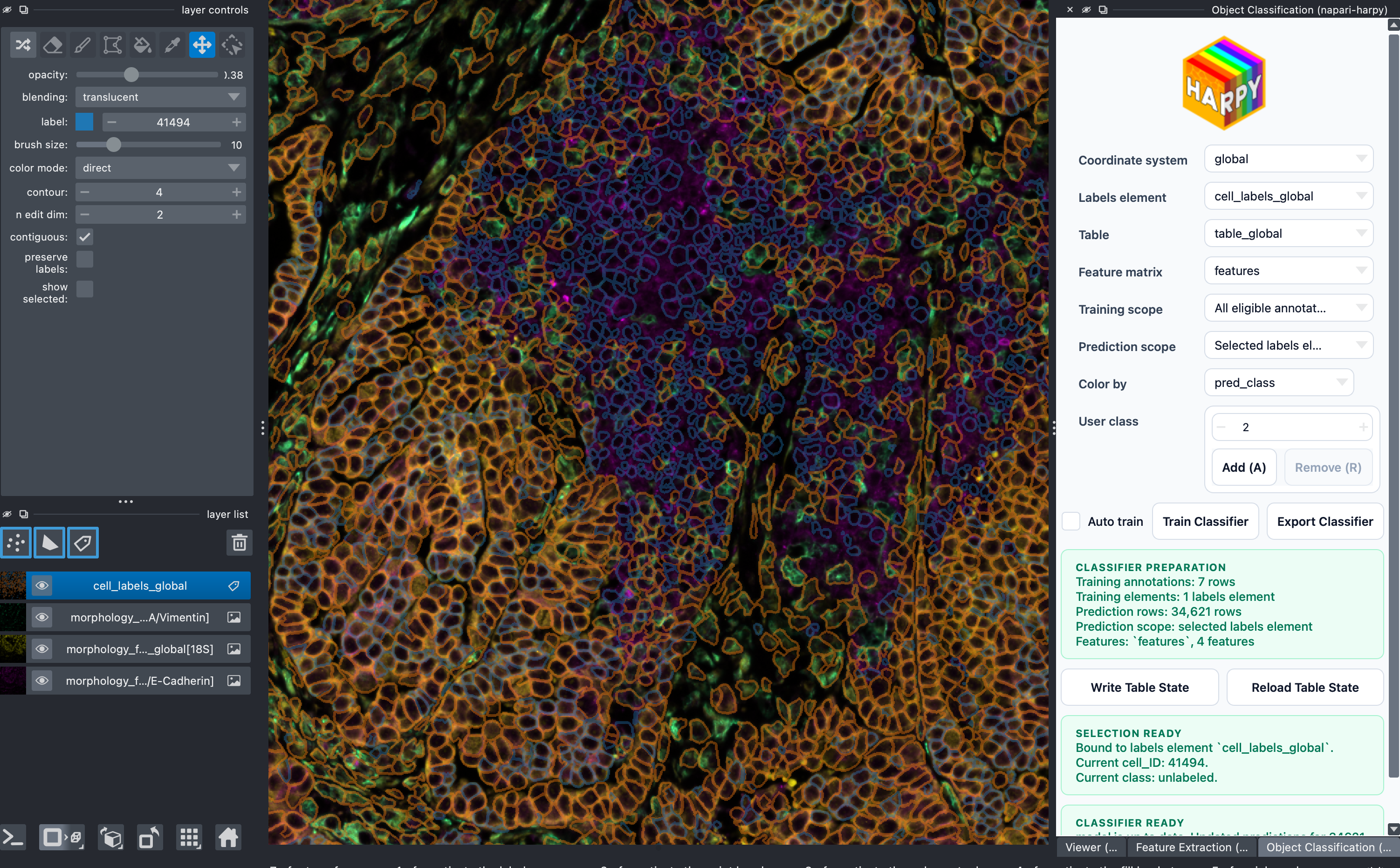napari-harpy object classification example screenshot