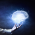 Avatar for ezragubbay from gravatar.com