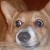 Avatar for awakebydefault from gravatar.com