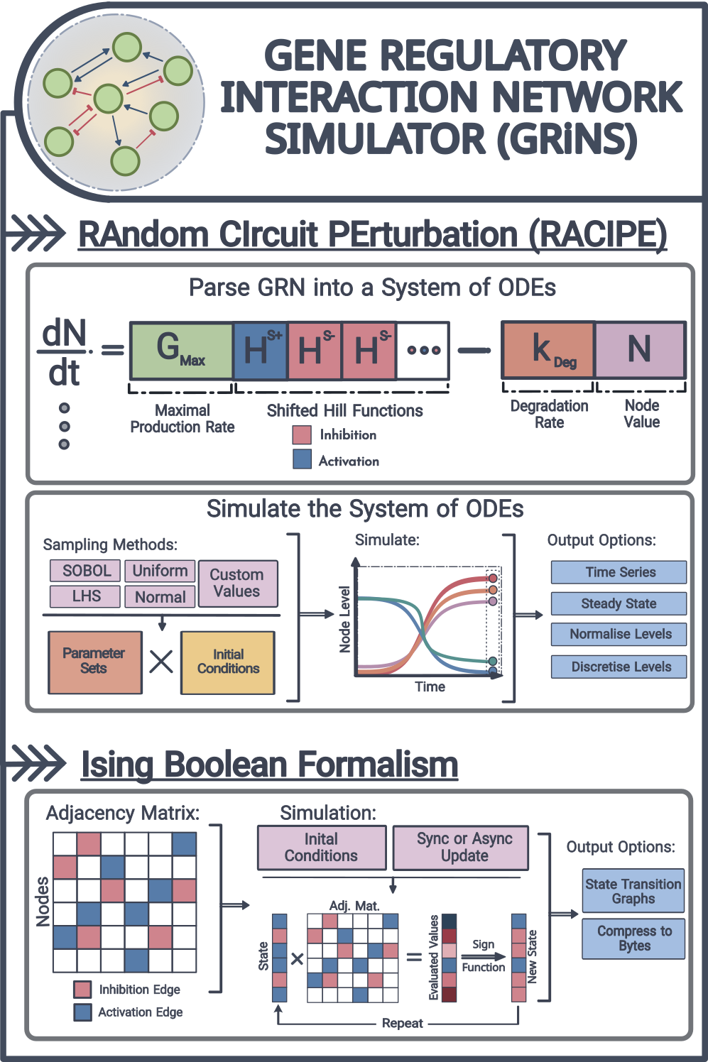 Overview of the simulation frameworks in GRiNS. GRiNS includes implementations of Random Circuit Perturbation (RACIPE) for continuous ODE-based modeling and Ising Boolean formalism for discrete-state simulations.
