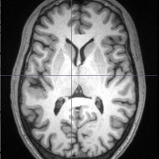 Avatar for Scott Burns from gravatar.com