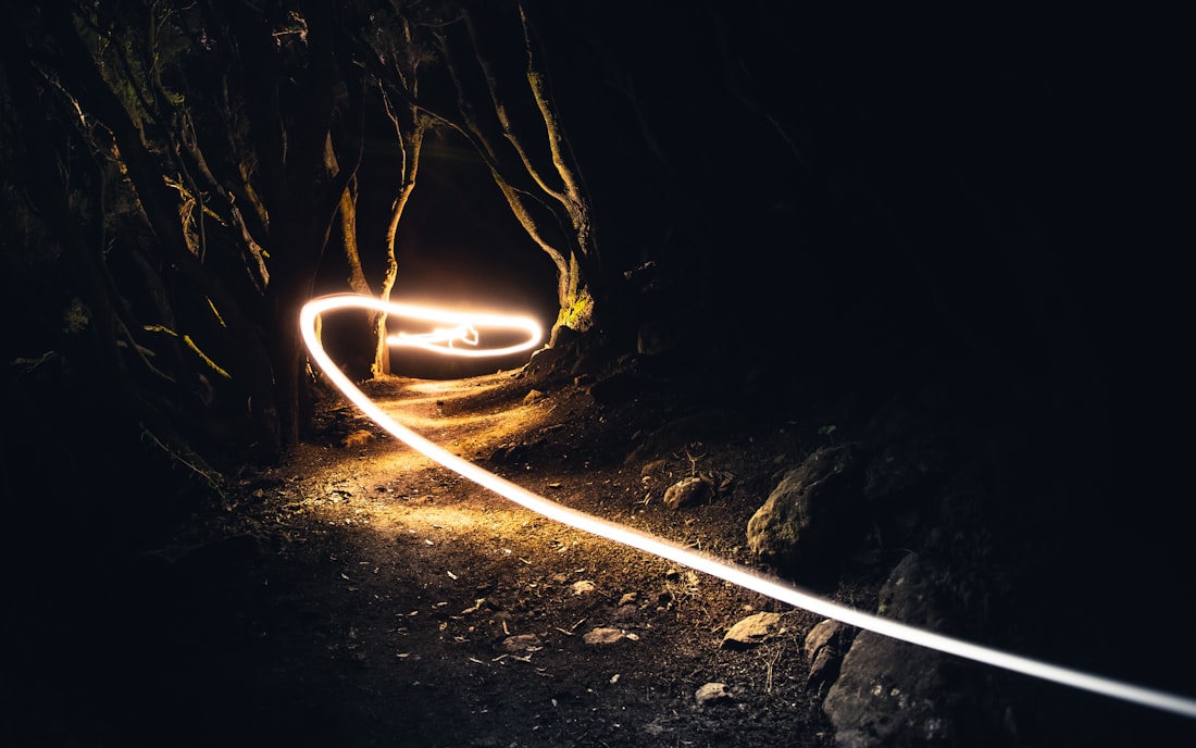 Time lapse of a fire trail in the wood