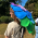Avatar for AutumnsGarden from gravatar.com