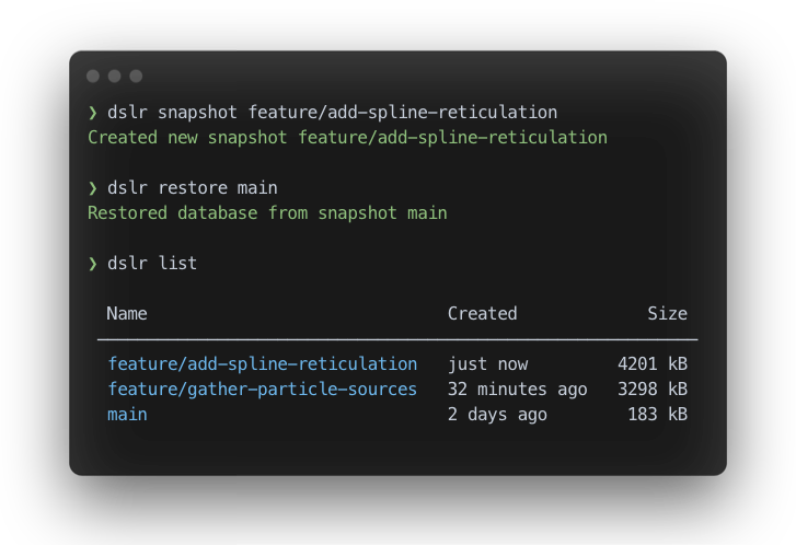 A terminal showing DSLR's command line interface.