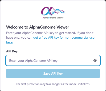 API key setup dialog