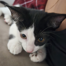 Avatar for Tharles from gravatar.com