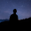 Avatar for adityatelange from gravatar.com