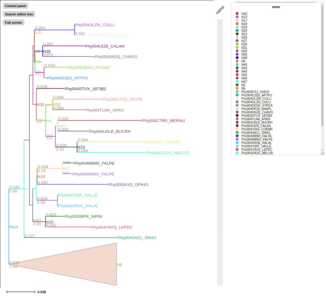 colorbranch_layout example