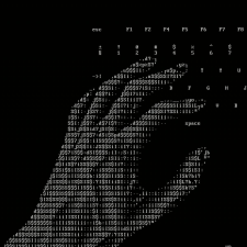 Avatar for Berat from gravatar.com