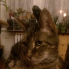 Avatar for Andrew Starr-Bochicchio from gravatar.com