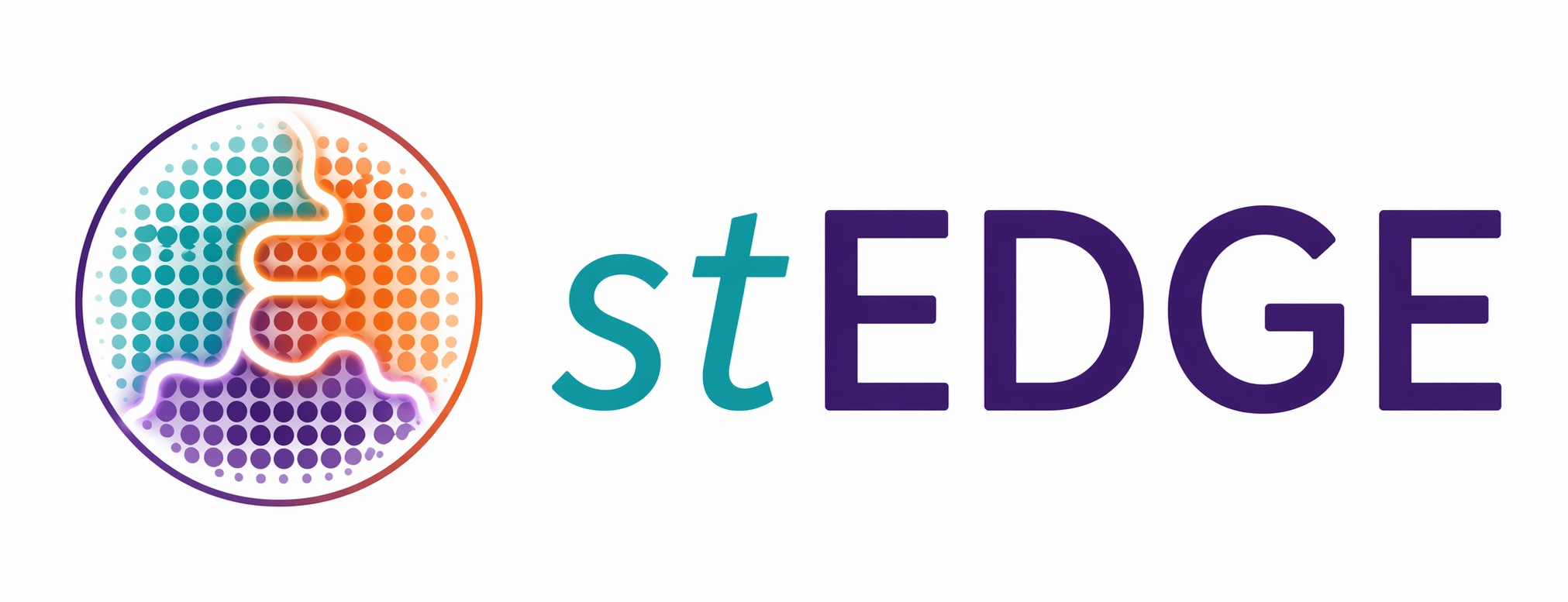 stEDGE logo