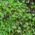 Avatar for rsh3khar from gravatar.com