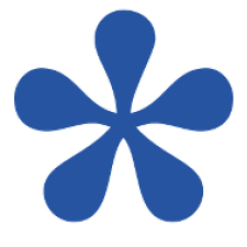 Avatar for Bluestar Solutions Sàrl from gravatar.com
