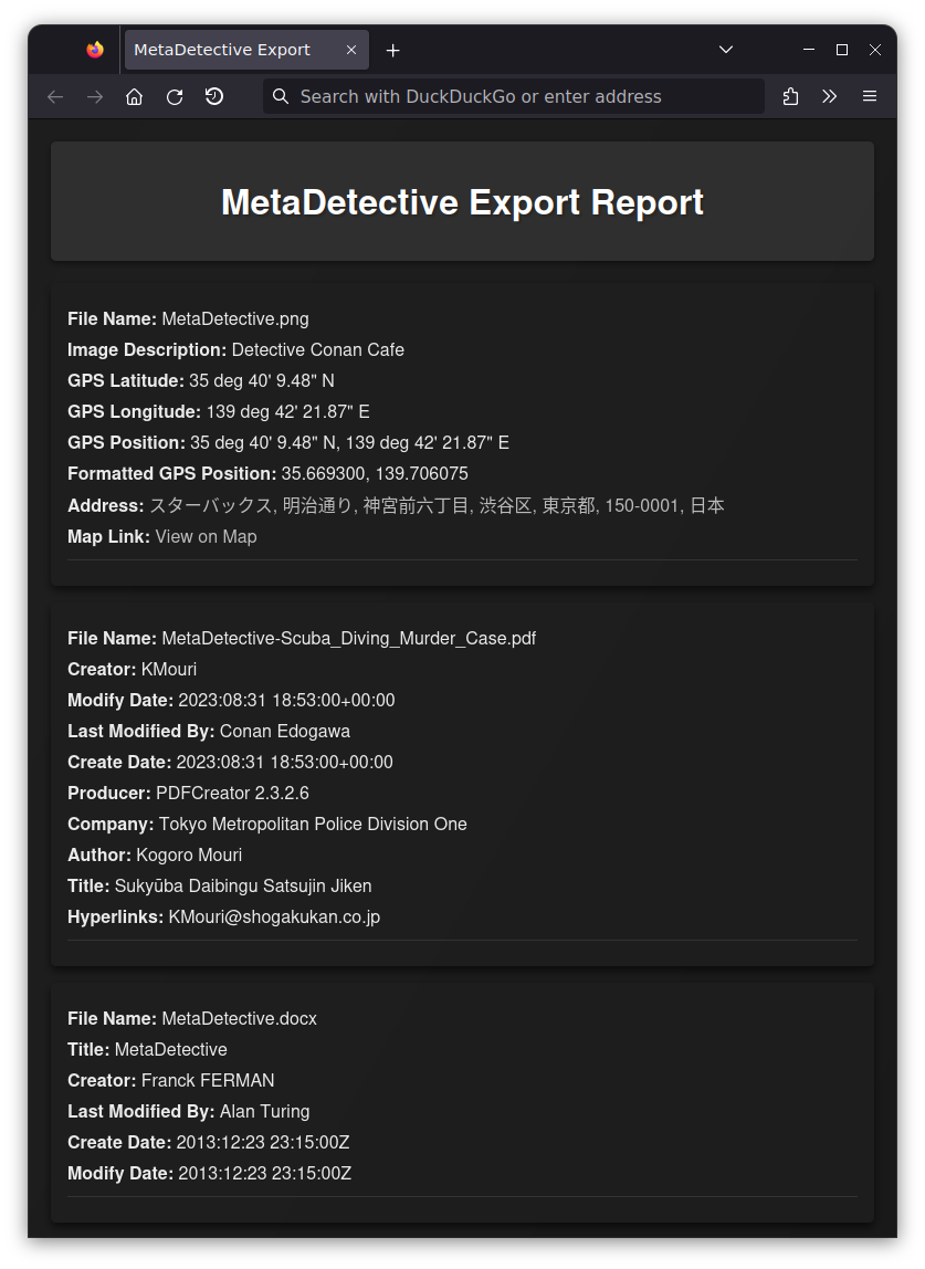 MetaDetective HTML Export Demo Screenshot