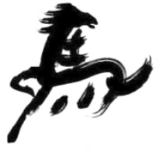 Avatar for Martin Zihlmann from gravatar.com