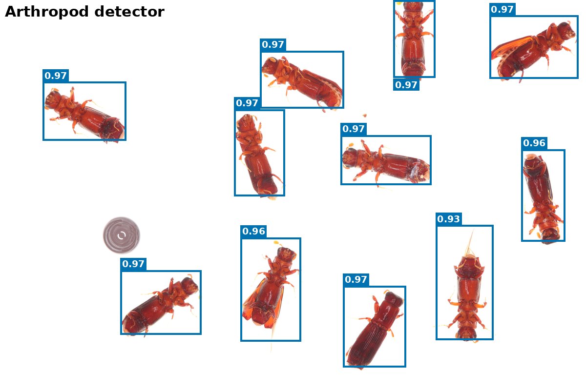 Arthropod detection