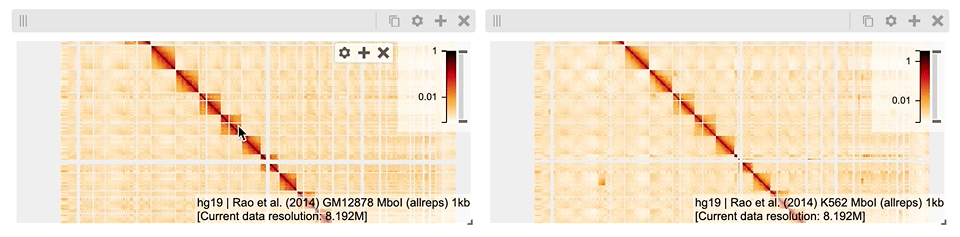 Side-by-side Hi-C heatmaps, linked by pan and zoom