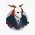 Avatar for Dashstrom from gravatar.com