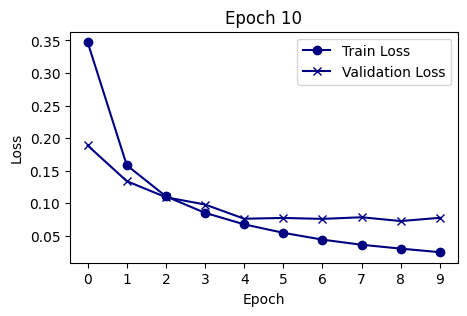 Beautiful Loss Graph With Barely Any Code!