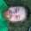 Avatar for benediktkr from gravatar.com
