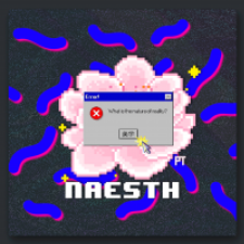 Avatar for Nice Aesthetics from gravatar.com