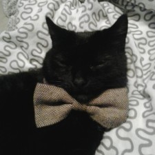 Avatar for Martijn Meijer from gravatar.com