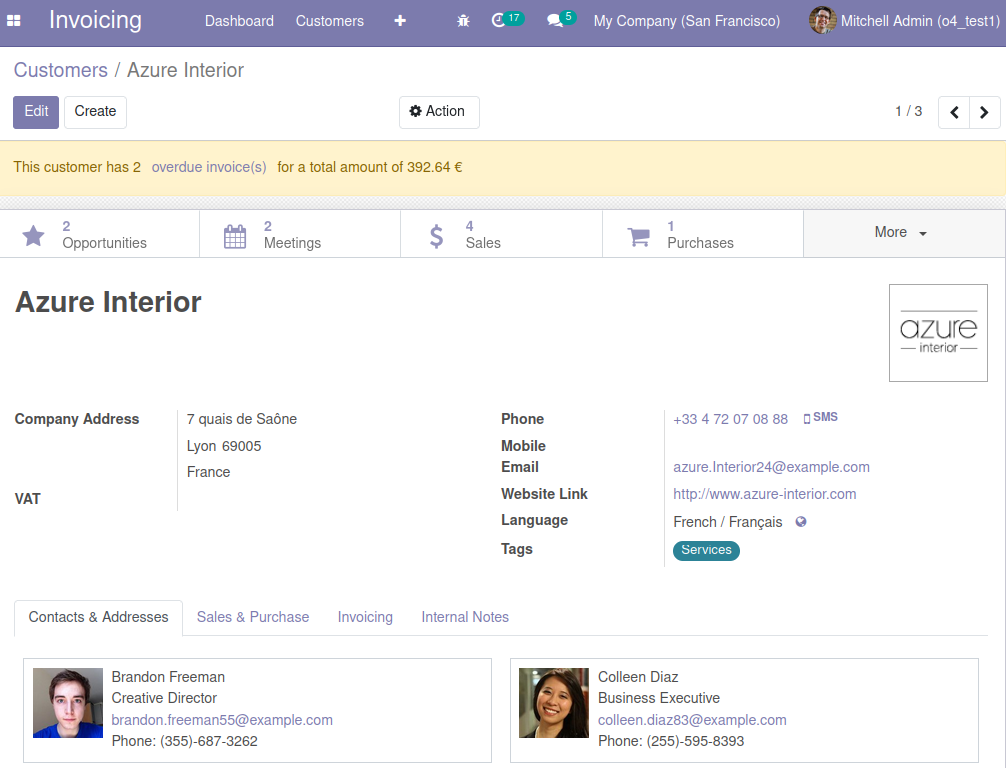 Screenshot of partner form view