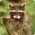 Avatar for livingstaccato from gravatar.com