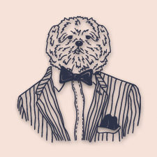 Avatar for Noah Durell from gravatar.com