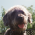 Avatar for kforth from gravatar.com