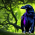 Avatar for a-gis-001 from gravatar.com