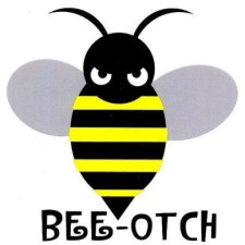 Avatar for raphdg from gravatar.com