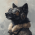 Avatar for underwulf from gravatar.com
