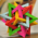 Avatar for scaomath from gravatar.com