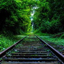 Avatar for MarkenJaden from gravatar.com