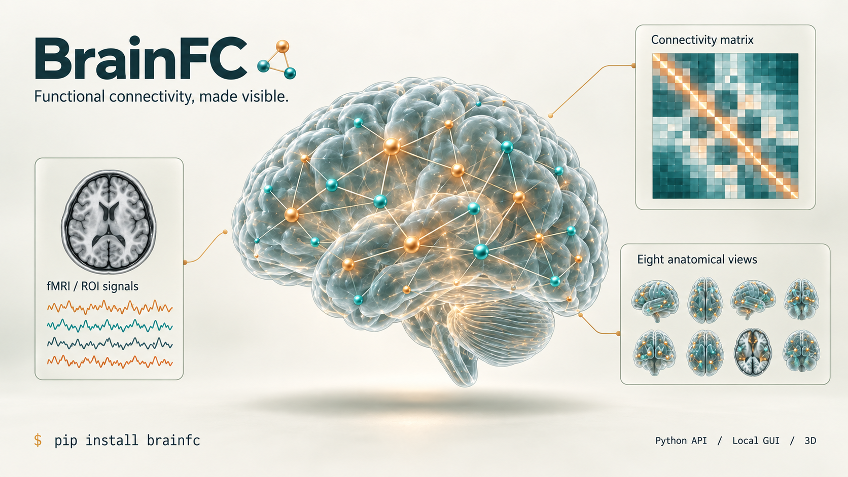 BrainFC: functional connectivity, made visible