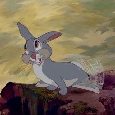 Avatar for Steve Hall from gravatar.com