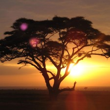 Avatar for Philip Jansen van Vuuren from gravatar.com