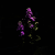 Avatar for Franktheft21 from gravatar.com
