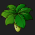 Avatar for UmbrellaLeaf5 from gravatar.com